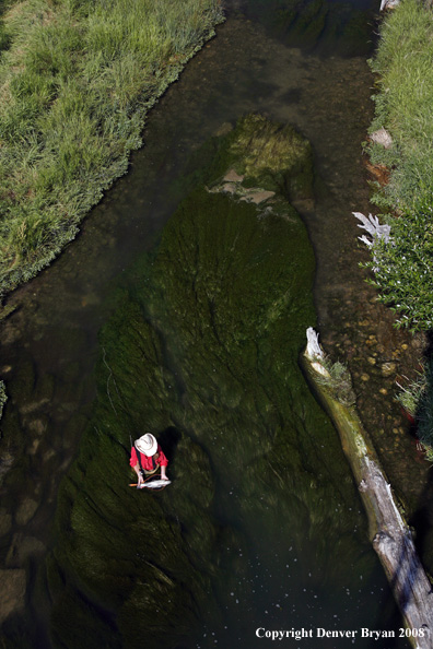 Flyfisherman fishing warm springs