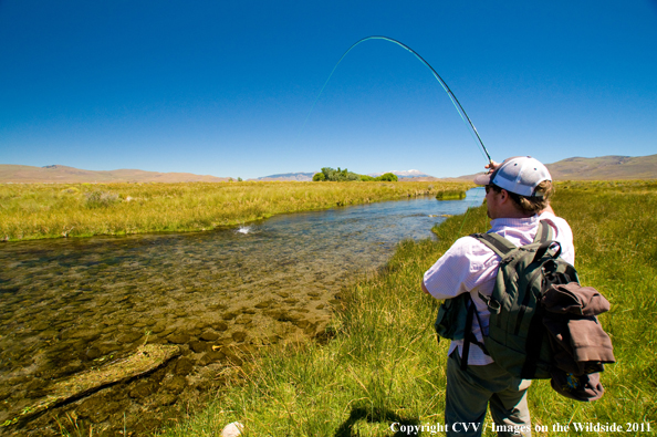 Flyfisherman with fish on in Argentina.   