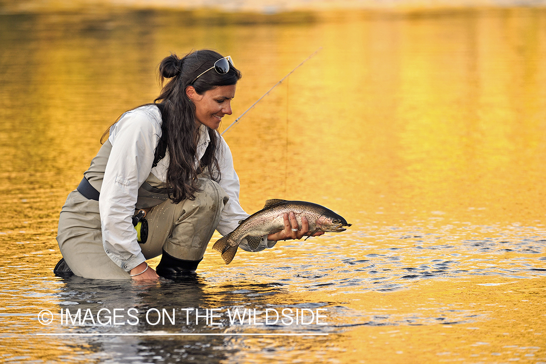 Flyfisher with rainbow trout.