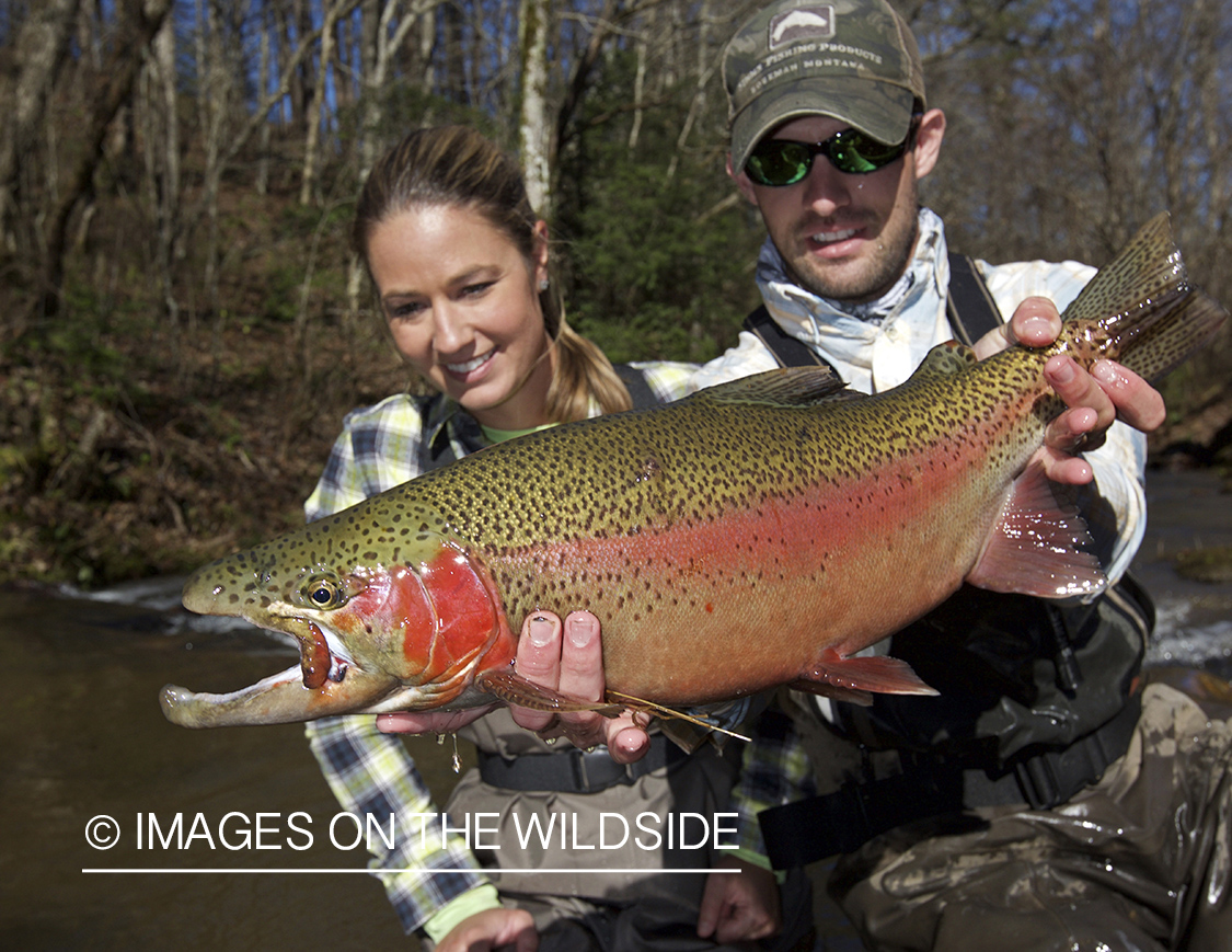 Flyfishermen with rainbow trout.