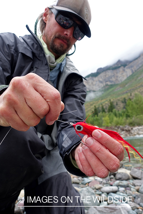 Flyfisherman tying fly.