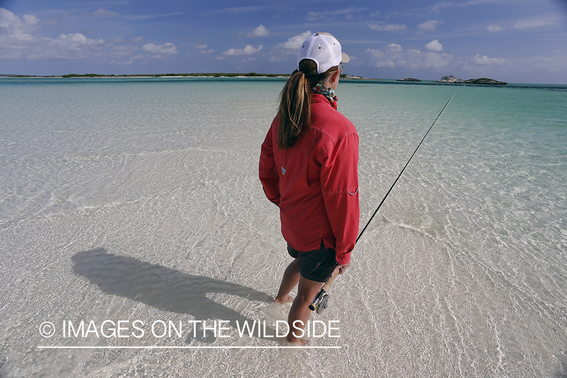 Saltwater flyfishing woman looking for fish in flats.