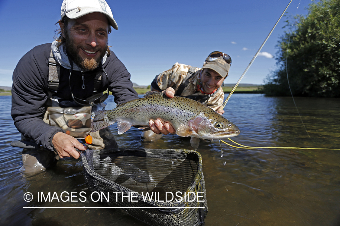 Flyfishermen with rainbow trout.