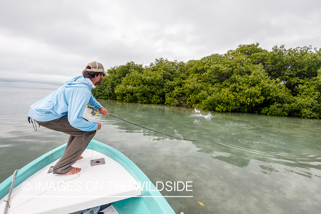 Flyfisherman fighting fish in Belize.