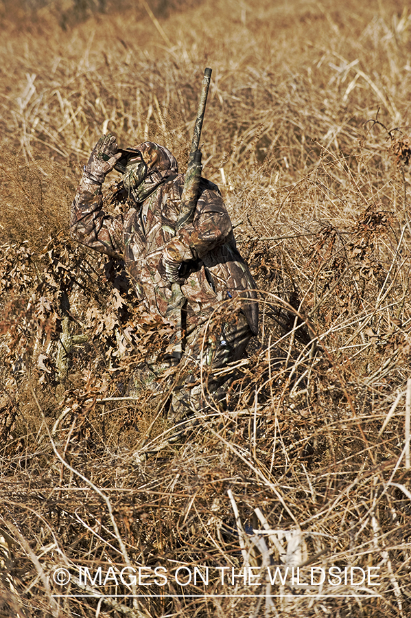 Waterfowl hunter waterfowl calling in wetlands.