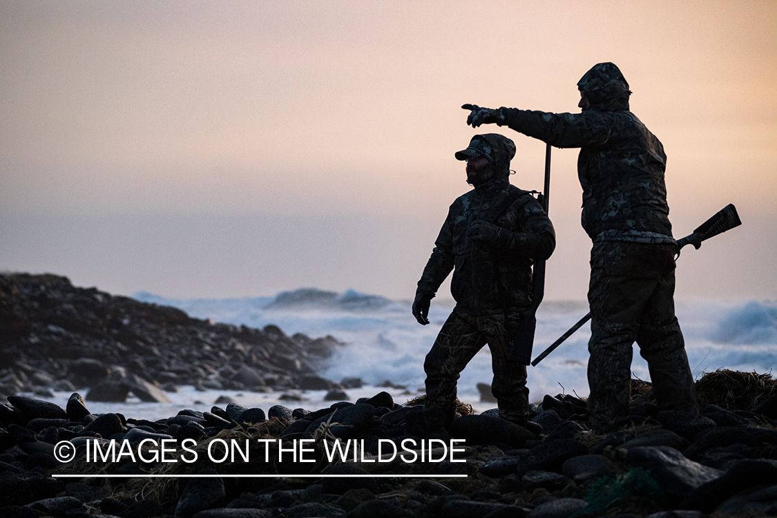 King Eider and Long-tailed duck hunting in Alaska, hunter pointing.