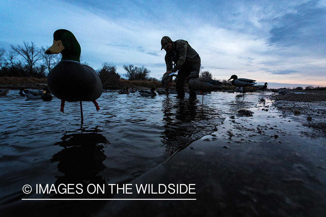 Waterfowl hunting