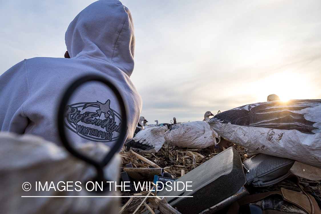 Hunters in field with decoys. 
