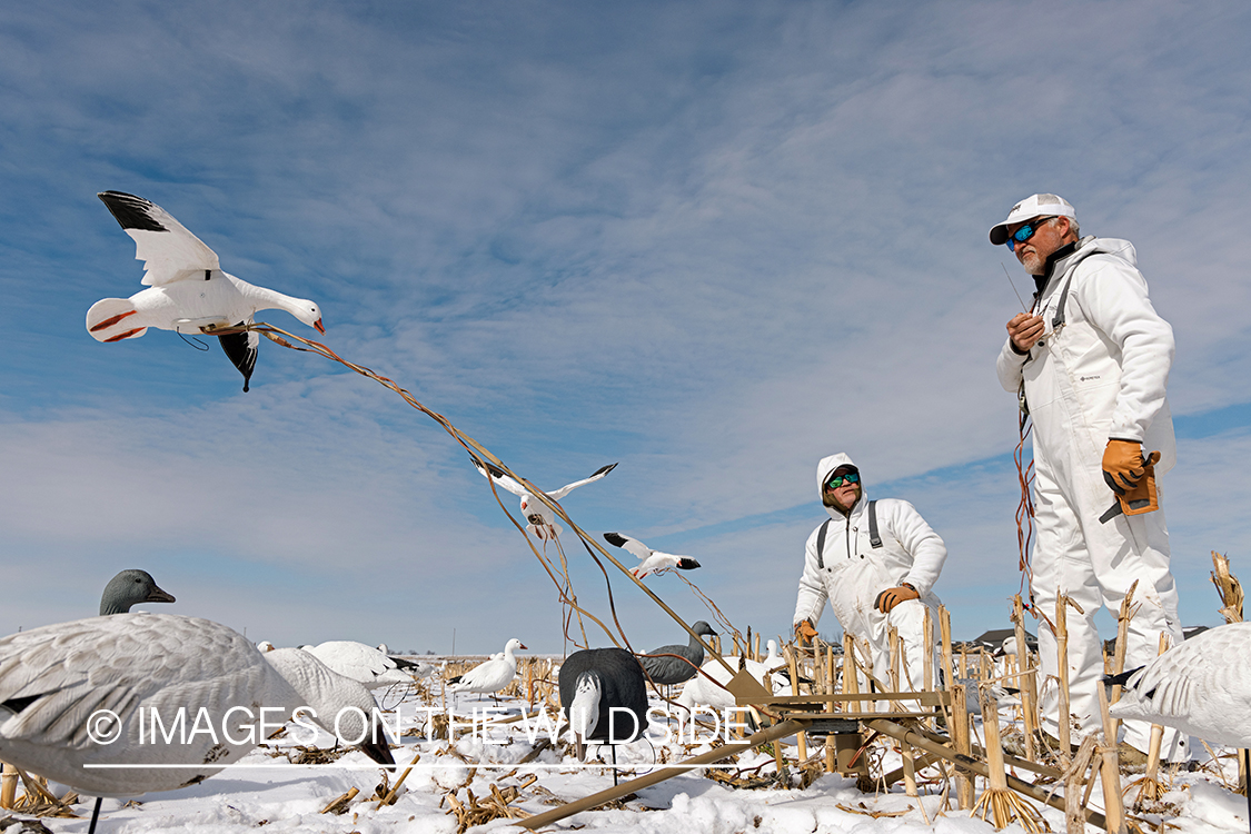 Hunters setting decoys.