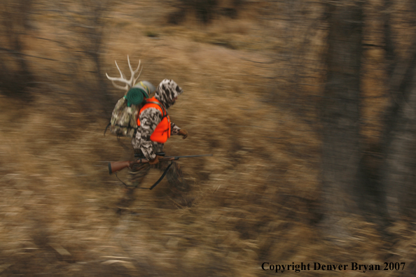 Mule deer hunter in field.