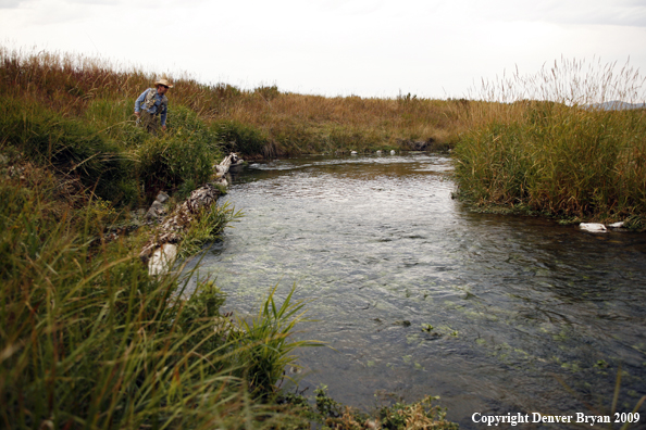 Flyfisherman fishing stream