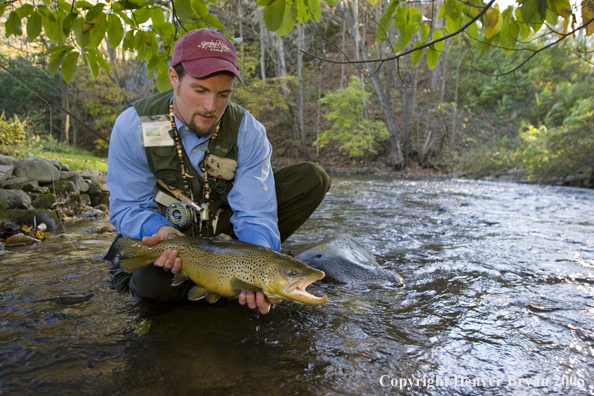 Close-up of nice brown trout.