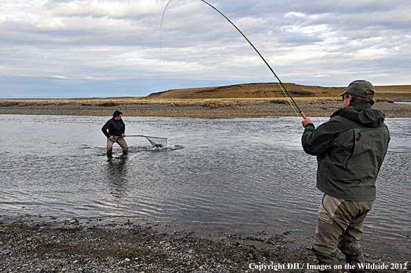 Flyfishermen catching brown trout. 