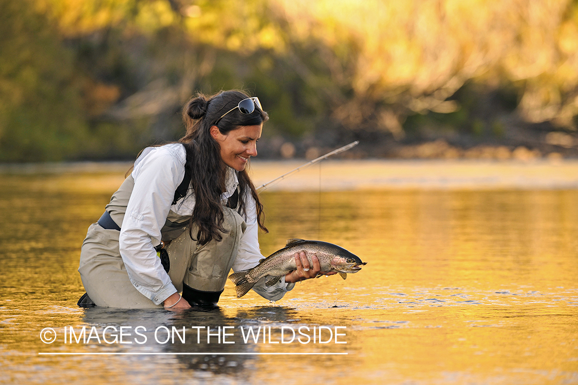 Flyfisher with rainbow trout.