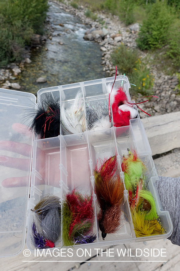 Fly tackle box.