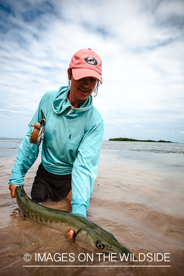 Flyfishing woman releasing barracuda.