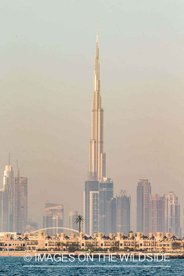 Burj Khalifa in Dubai, UAE (tallest building in the World).