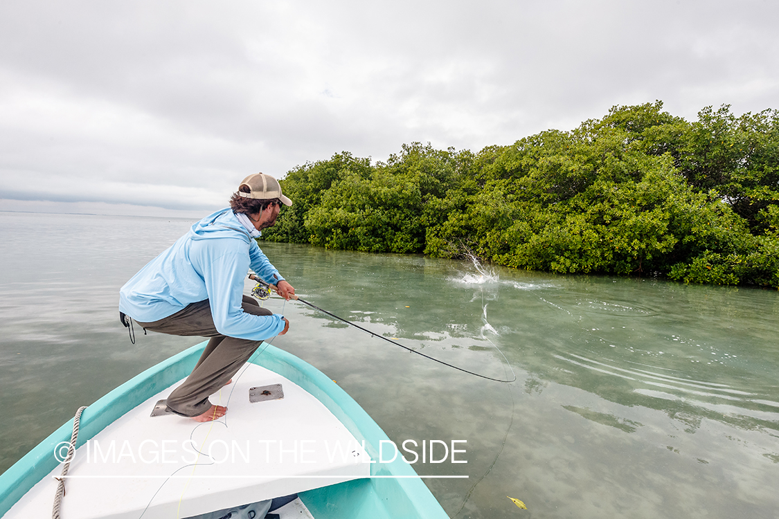 Flyfisherman fighting fish in Belize.