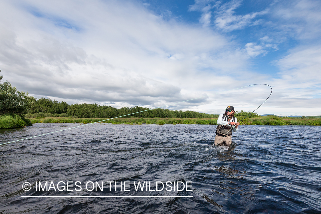 Flyfisherman fighting fish on the Sedanka river in Kamchatka Peninsula, Russia. 