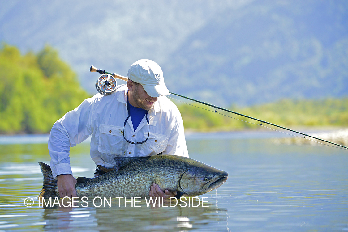 Flyfisherman with king salmon.