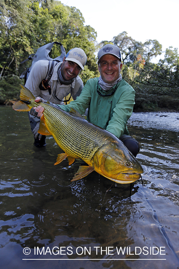 Flyfishermen with Dorado.