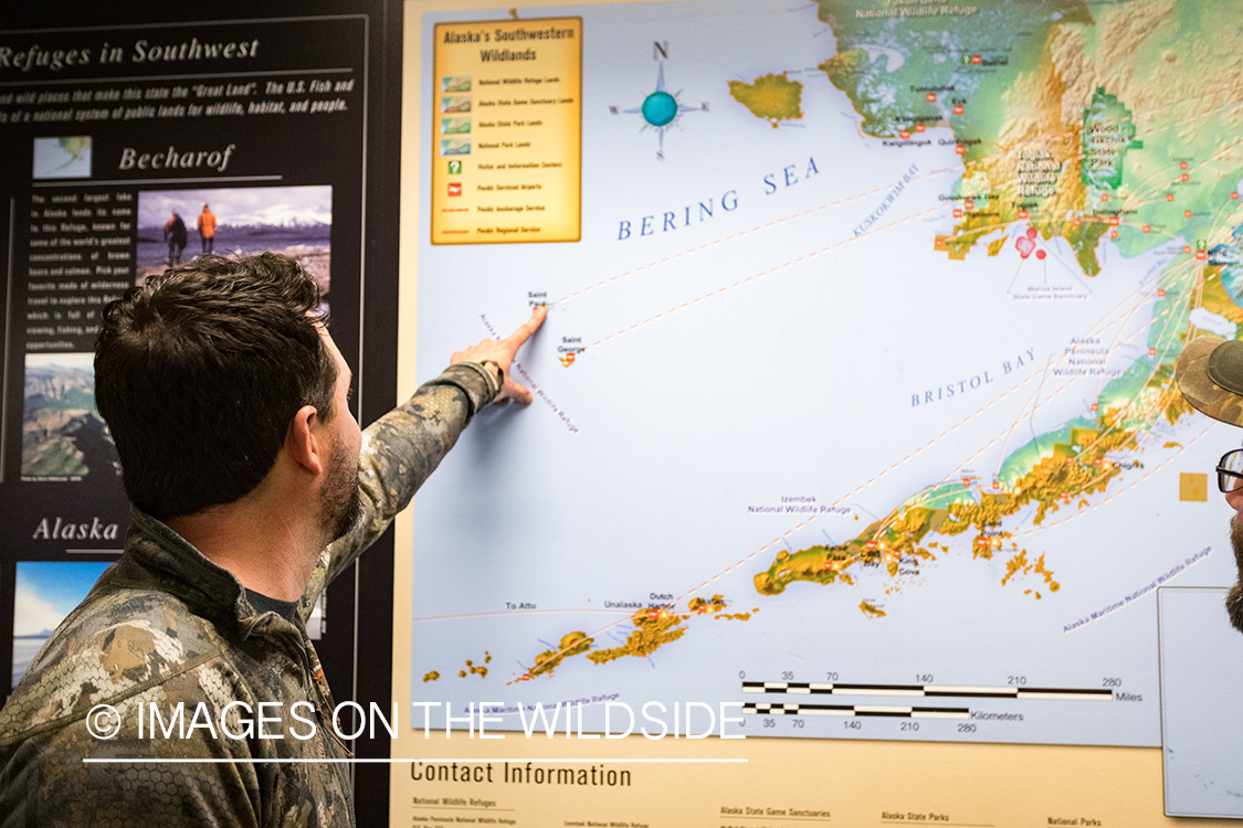 King Eider and Long-tailed duck hunting in Alaska, hunter pointing to island on map.