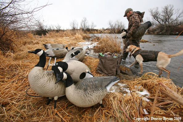 Collecting Decoys