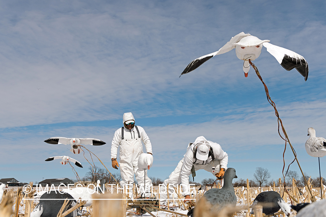 Hunters setting decoys.