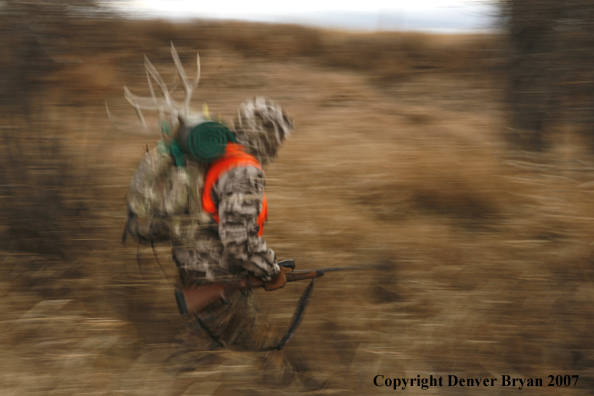 Mule deer hunter in field.