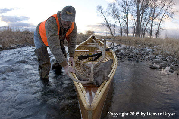 Big game hunter dragging canoe with bagged white-tail deer in bow