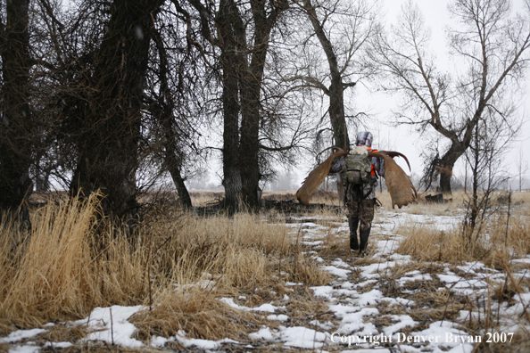 Moose hunter in field