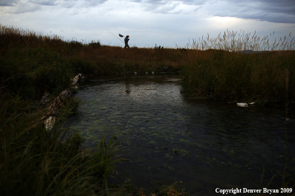 Flyfisherman at stream