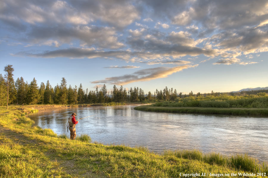 Flyfisherman on the Madison River, Montana. 