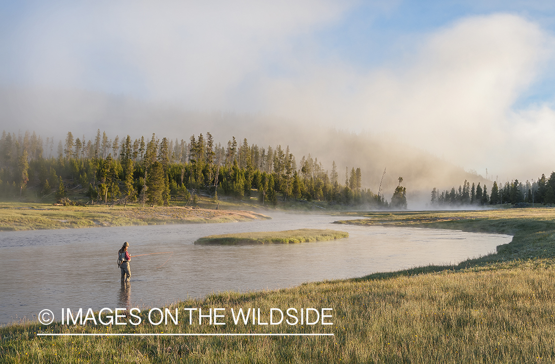 Flyfishing on Firehole River, Yellowstone National Park.