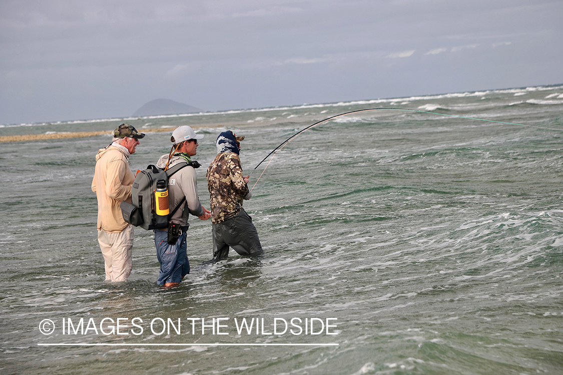 Saltwater flyfishermen fishing along Australia's Great Barrier Reef.