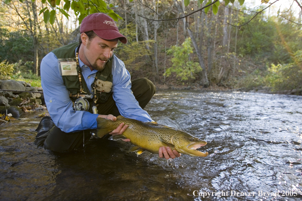 Close-up of nice brown trout.