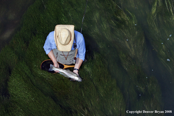 Flyfisherman fishing warm springs