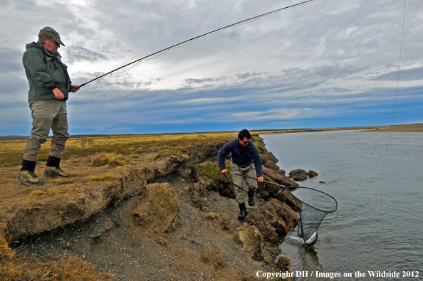 Flyfishermen catching brown trout. 