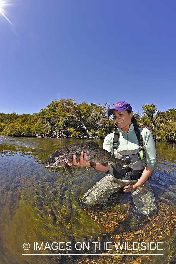 Flyfisher with rainbow trout.