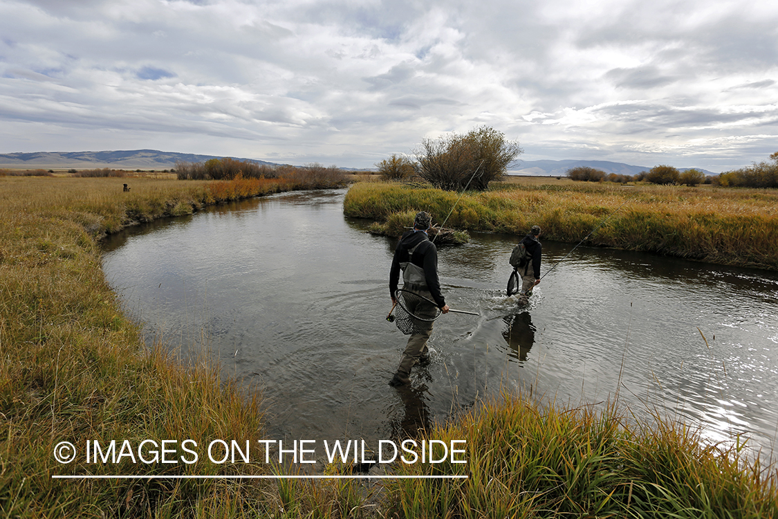 Flyfishermen in field.