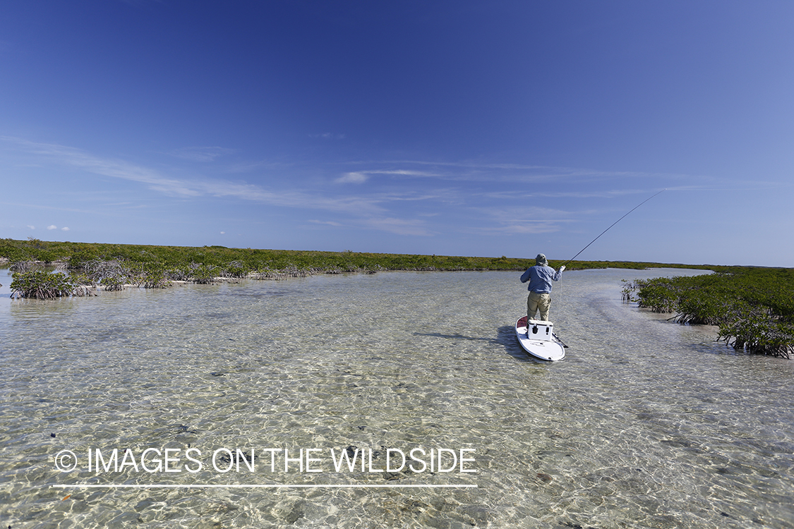 Saltwater flyfisherman on stand up paddle boards.