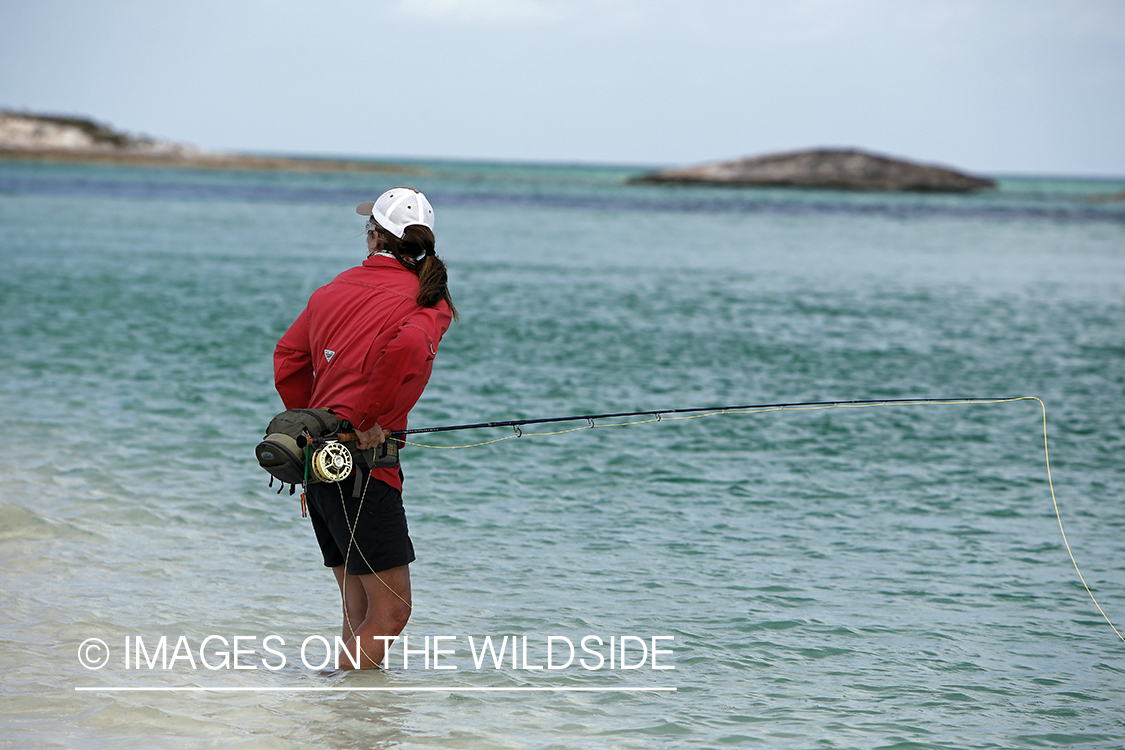 Saltwater flyfishing woman looking for fish in flats.