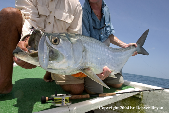 Flyfishermen w/tarpon 