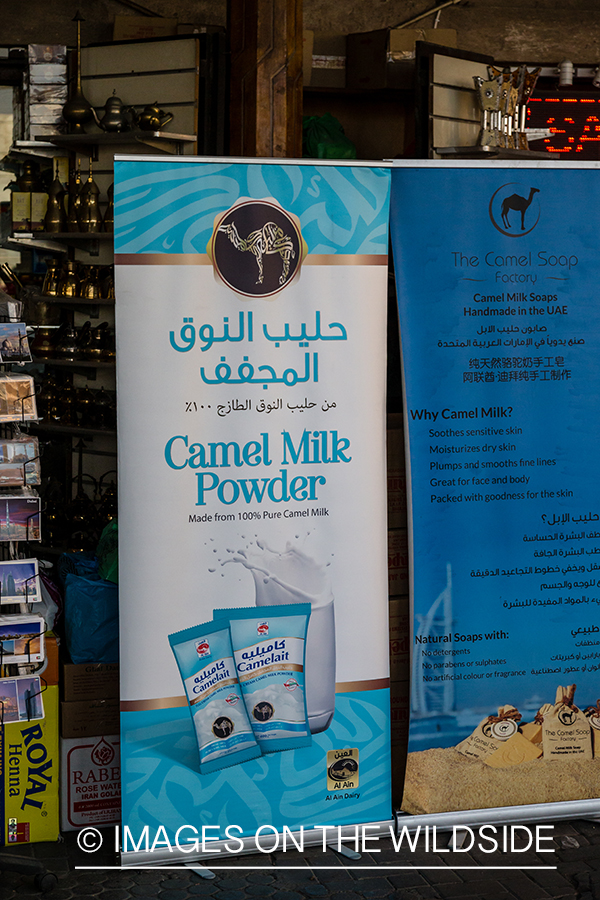 Camel milk powder sign in Dubai, UAE.