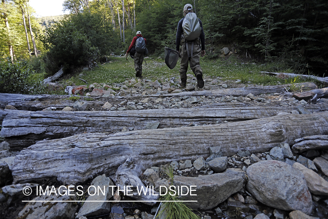 Flyfishermen hiking to fishing stream.