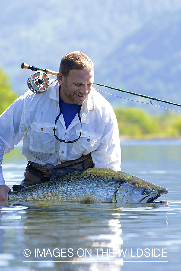 Flyfisherman with king salmon.