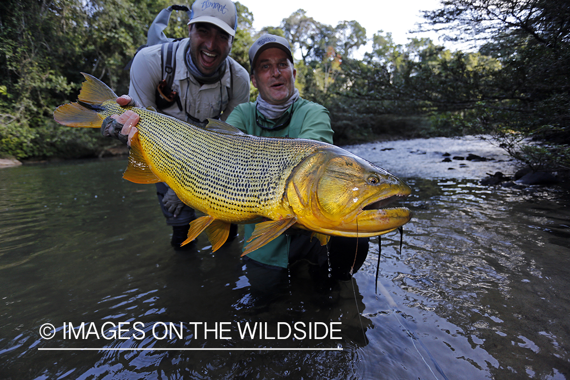 Flyfishermen with Dorado.