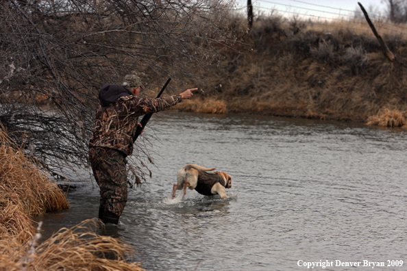 Waterfowl Hunter with Dog