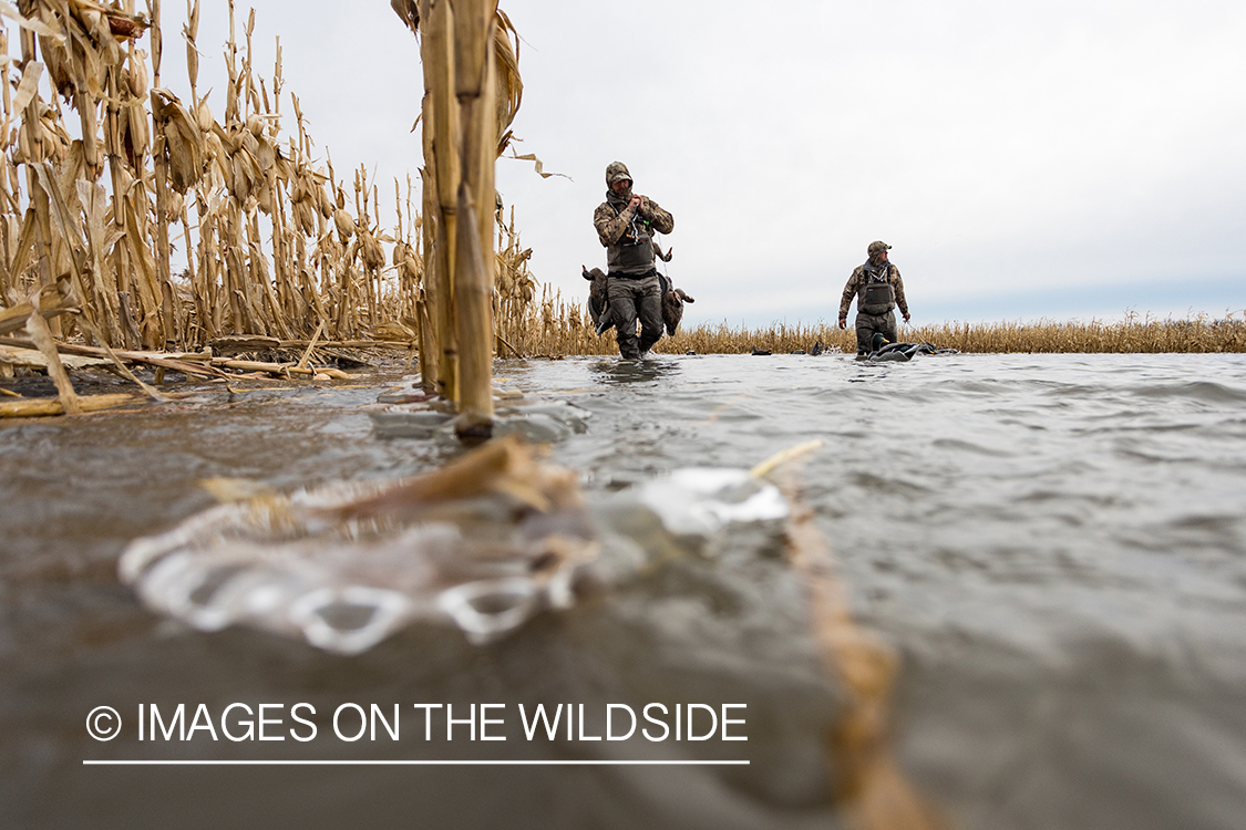 Waterfowl hunting