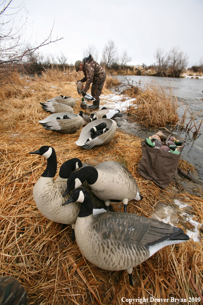 Collecting Decoys